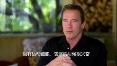 阿诺视频爆料最新消息是真的吗,最新消息真实性揭秘 第2张 阿诺视频爆料最新消息是真的吗,最新消息真实性揭秘 第2张